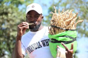 mkombe